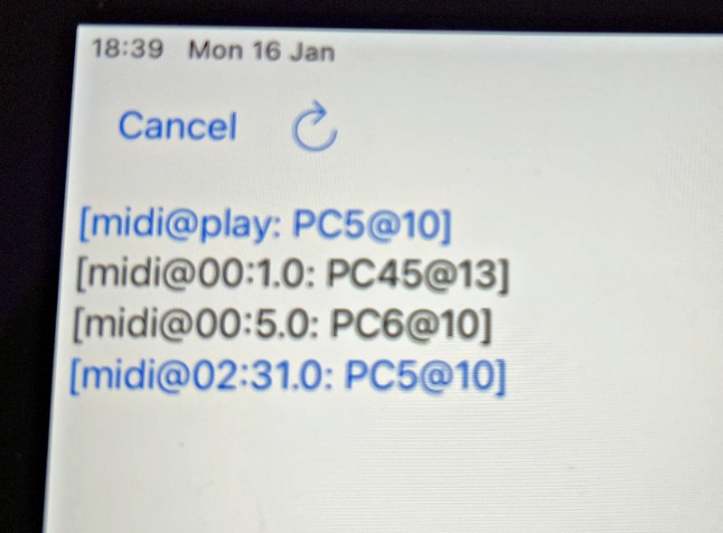midi-1.jpg